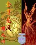 金身龙凤耀九州
