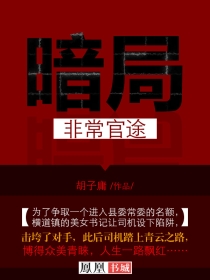 暗局:非常官途